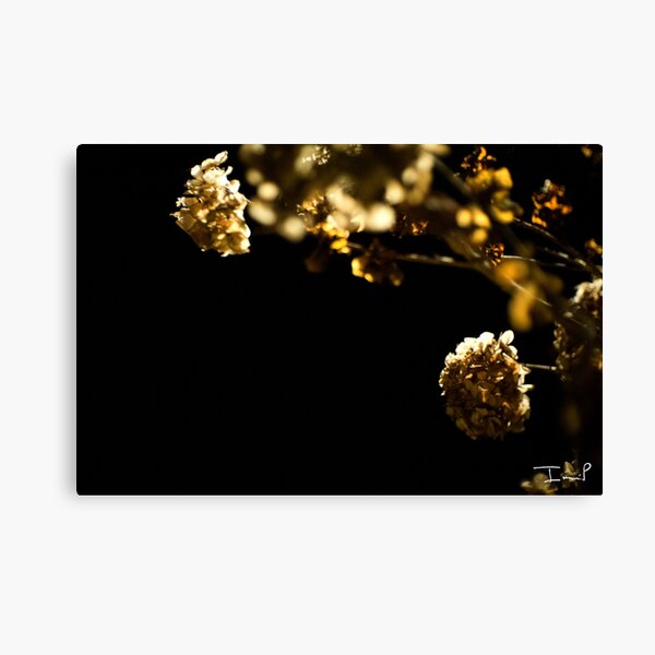 Flowers in the Night Canvas Print