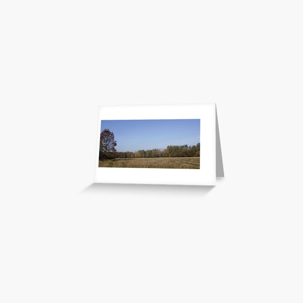 Autumn at Moorenbrunnfeld, Nuremberg Greeting Card