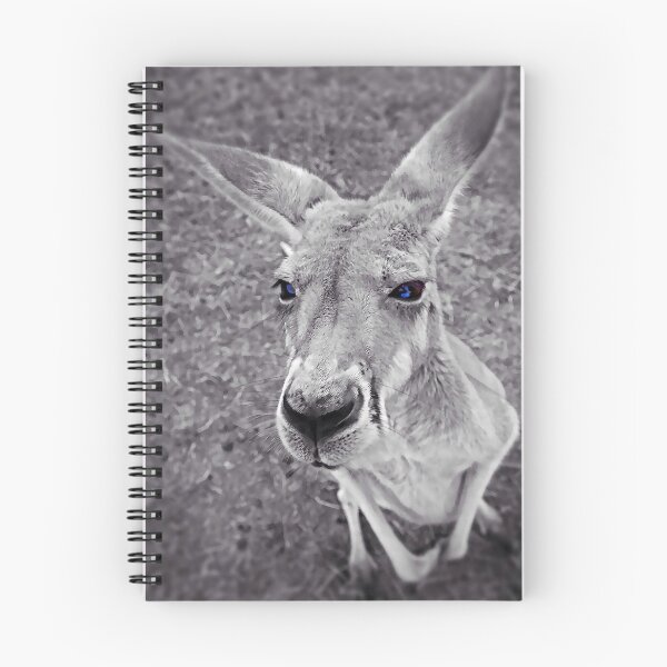 Item preview, 'Roo designed and sold by Leslie Naylor.