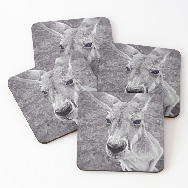Item preview, 'Roo designed and sold by Leslie Naylor.