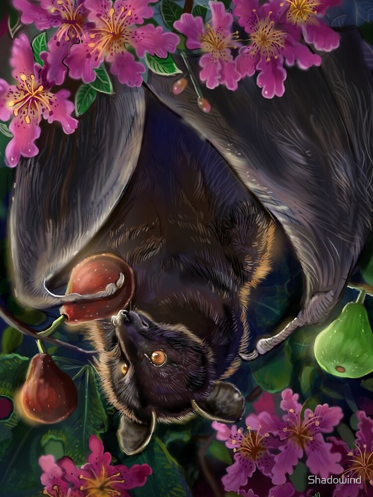 "Livingstone Flying Fox and Figs" iPhone Case for Sale by Shadowind