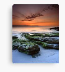 "Sanctuary" ∞ Vincentia, NSW - Australia Canvas Print