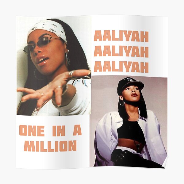 Dmx Posters Redbubble