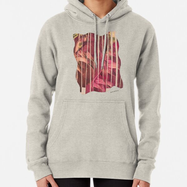 Salus Pullover Hoodie