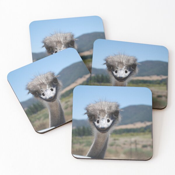 Item preview, Friendly Ostrich  designed and sold by Dutchoboe.