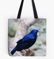 Satin Bowerbird Tote Bag