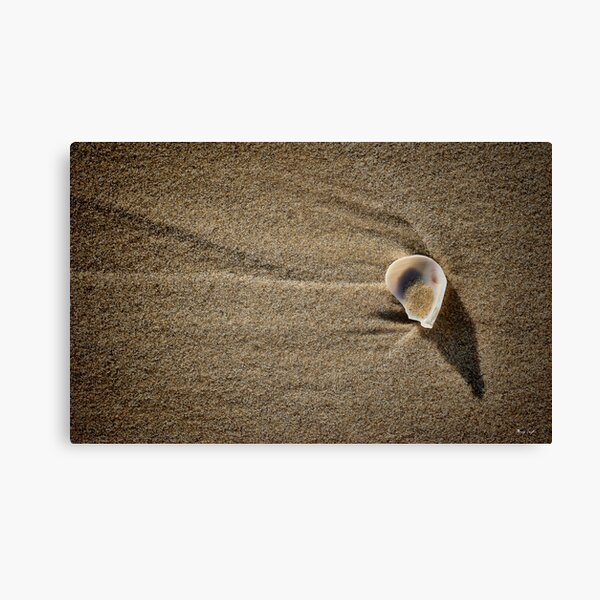 Item preview, One Shell at Cabarita designed and sold by Murray Swift.
