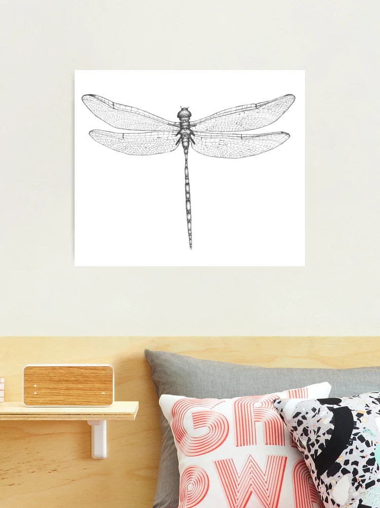 Canvas Print of Dragonfly After Antonio Vallardi for sale at Pamono