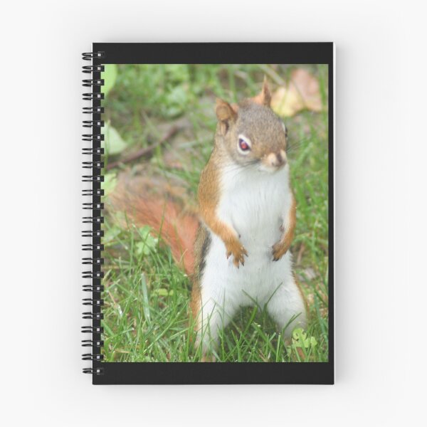 Item preview, REDREAMING CHIPMUNK *Stick 'em up* designed and sold by REDREAMER.