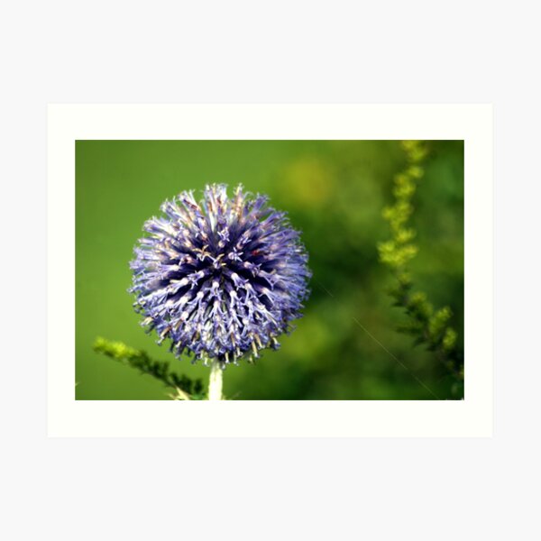 Blue Flower Landscape Art Print