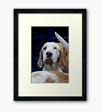 Got it, its on the wind Framed Print