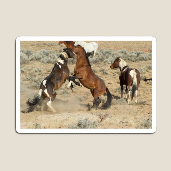 Item preview, Fighting Wild Horses-Signed-2723 designed and sold by JL Woody Wooden.
