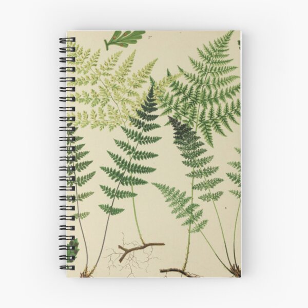Item preview, Botanical Ferns designed and sold by BlueSpecsStudio.