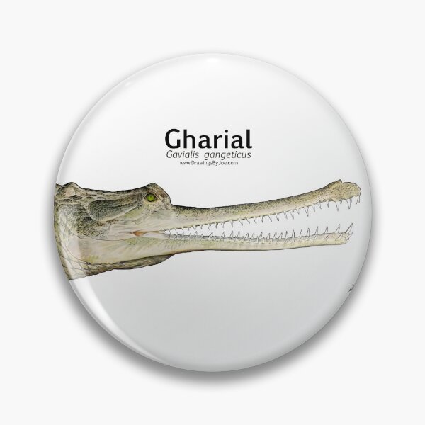 Item preview, Indian Gharial designed and sold by Joe Richichi.