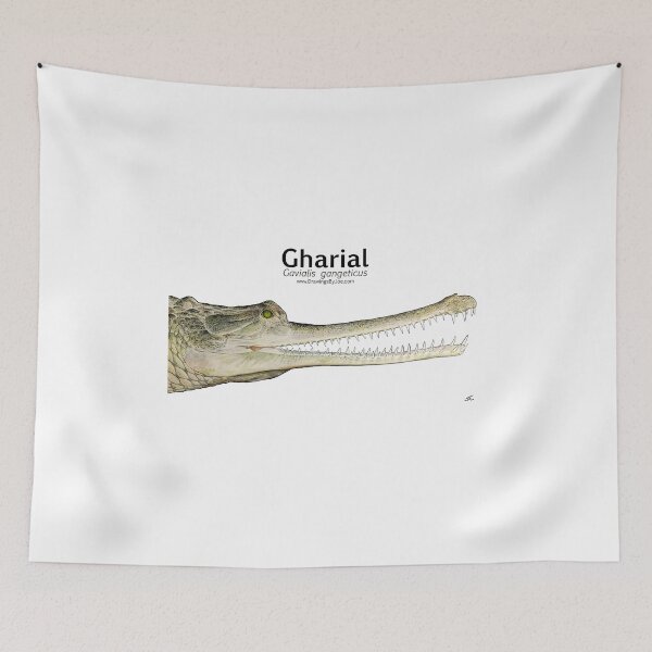 Item preview, Indian Gharial designed and sold by Joe Richichi.