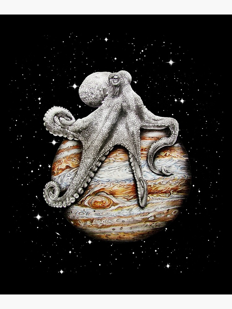 Celestial Cephalopod by jamesormiston