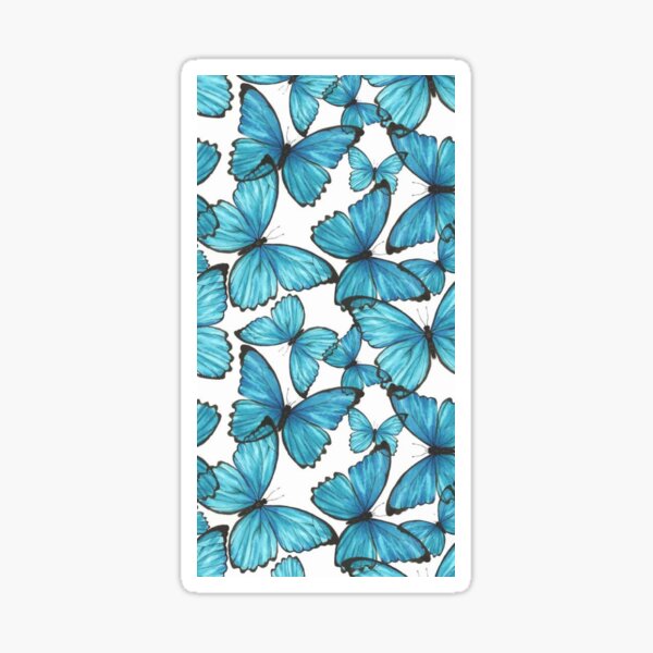 blue butterfly blue butterfly