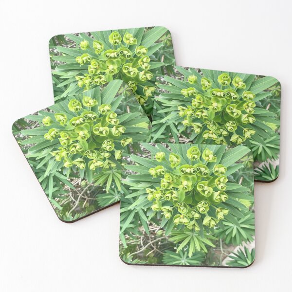 Aperçu de l'œuvre Flore verte créée et vendue par Anna Maria Upshaw.