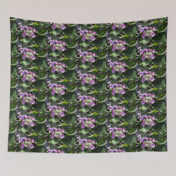 Item preview, Dawn Magic - A Hydrangea Lace Cap at Sunrise designed and sold by BlueMoonRose.
