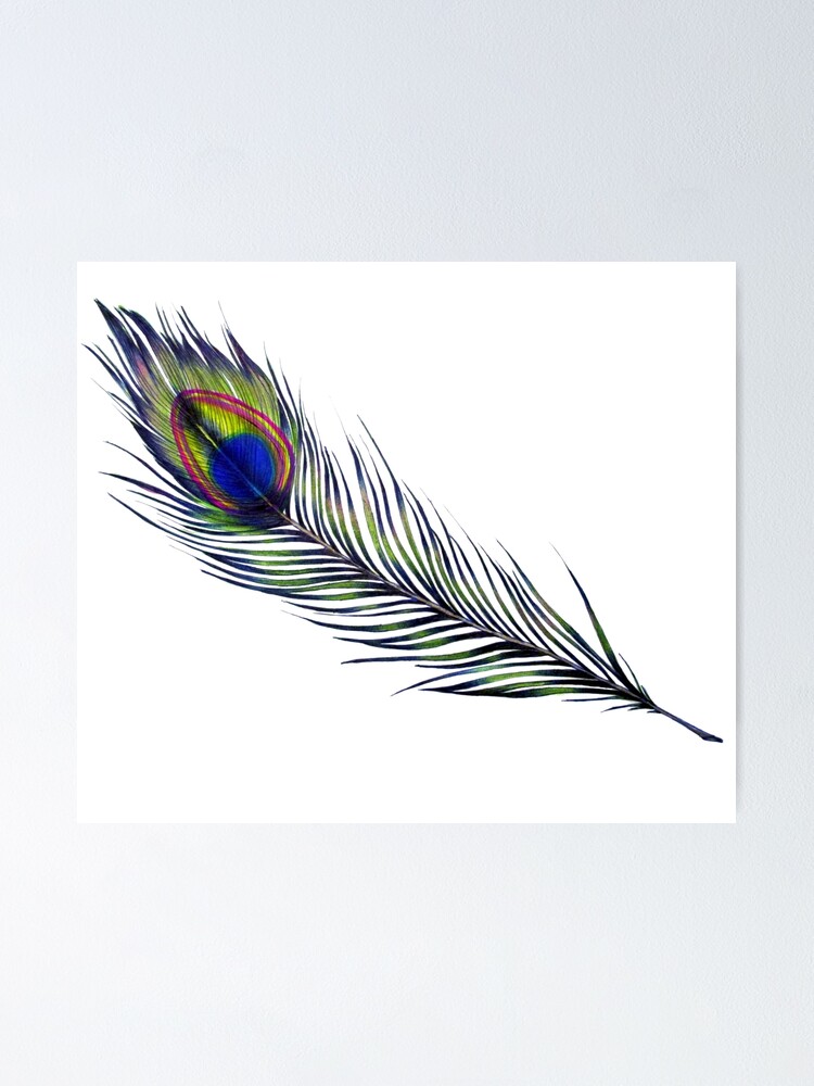 The peacock feather Poster