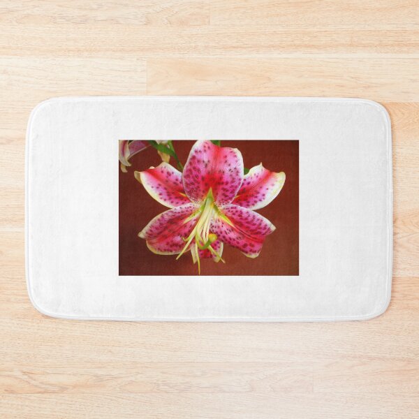 Item preview, Star Gazer Lily designed and sold by Shelley Loewnau-Jones Studio.