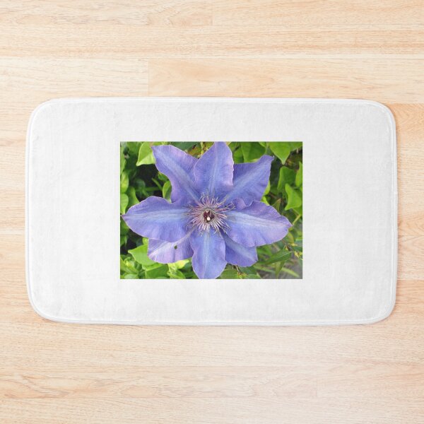 Item preview, Blue Clematis designed and sold by Shelley Loewnau-Jones Studio.