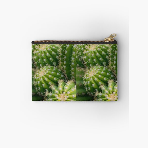 Item preview, Cactus designed and sold by Ram Vasudev.
