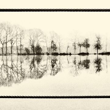 Artwork thumbnail, Misty morning in the park by Lenka