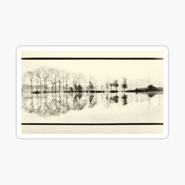 Misty morning in the park Sticker