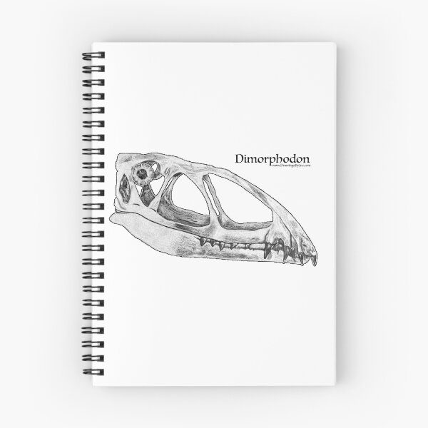 Item preview, Dimorphodon designed and sold by Joe Richichi.