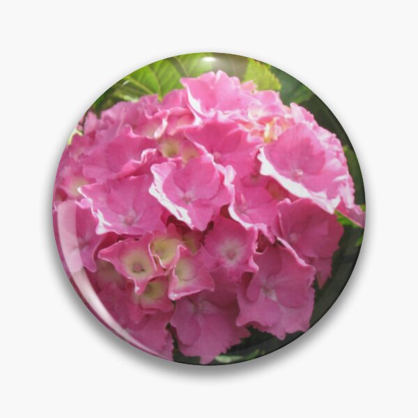 Artikelvorschau, Dawn Pink - Beautiful Hydrangea Blossom entworfen und verkauft von BlueMoonRose.