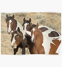 Painted Sisters-Signed-2603 Poster