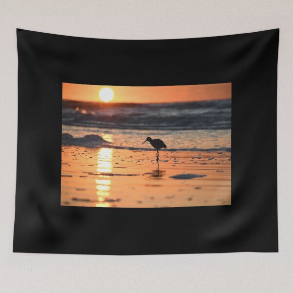 Item preview, a bird walking the shore line designed and sold by BowToe.