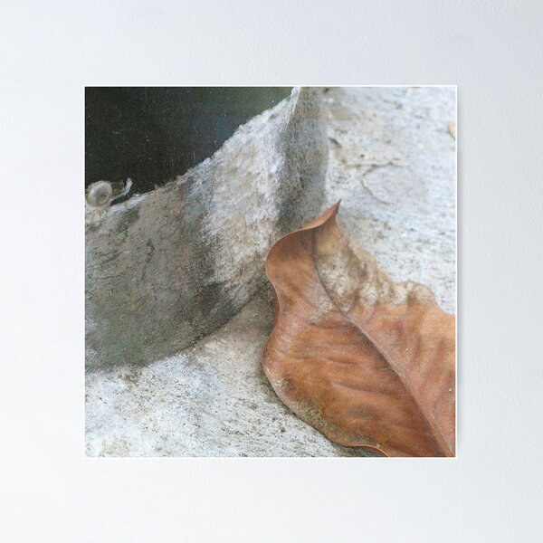 Item preview, Leaf Portrait #20 designed and sold by Jane Underwood.