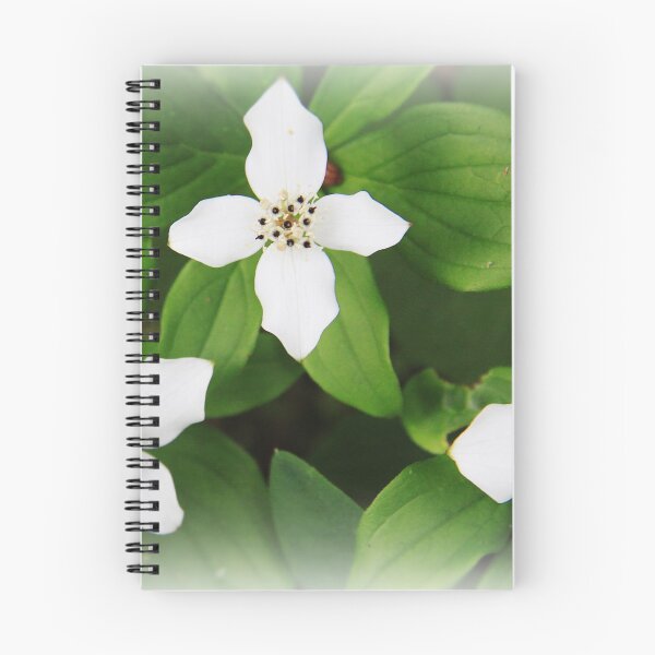 Item preview, Bunchberry designed and sold by Alyce Taylor.