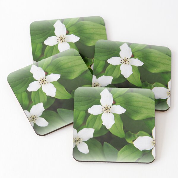 Item preview, Bunchberry designed and sold by Alyce Taylor.