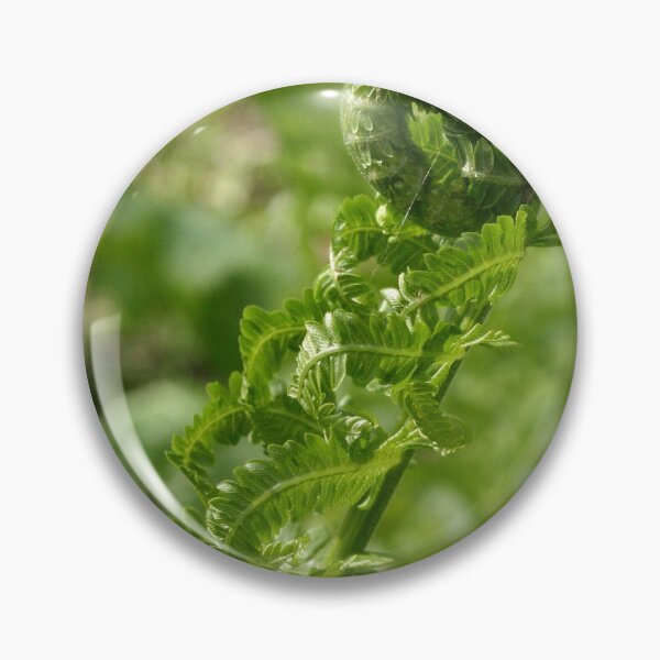 Item preview, Fiddlehead designed and sold by Alyce Taylor.