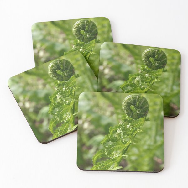 Item preview, Fiddlehead designed and sold by Alyce Taylor.