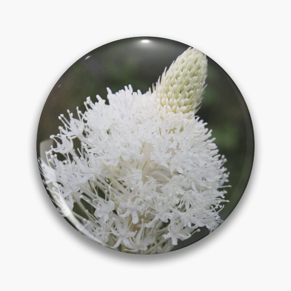 Item preview, Indian Basket Grass designed and sold by Alyce Taylor.