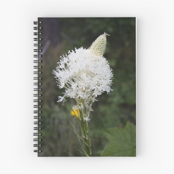 Item preview, Indian Basket Grass designed and sold by Alyce Taylor.