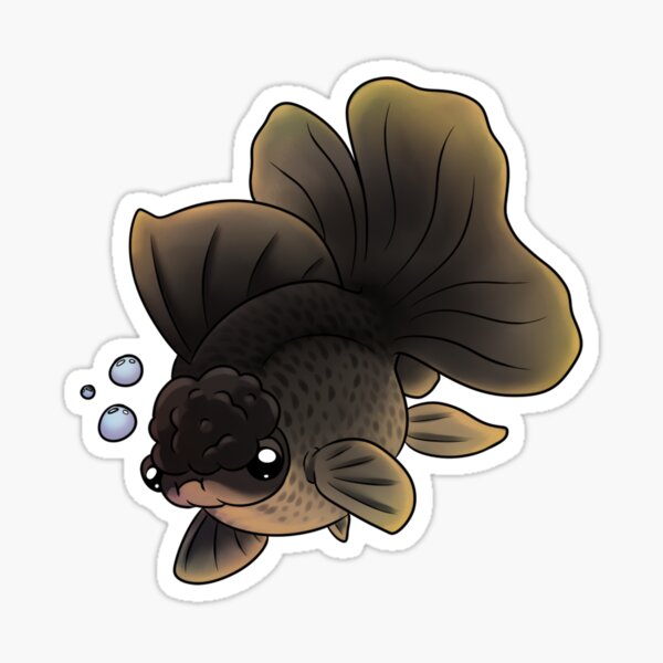 Nugget Female Black Green Oranda Sticker By Inkteresting Redbubble