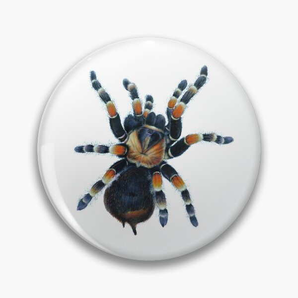 Item preview, Tarantula  designed and sold by Salmoneggs.