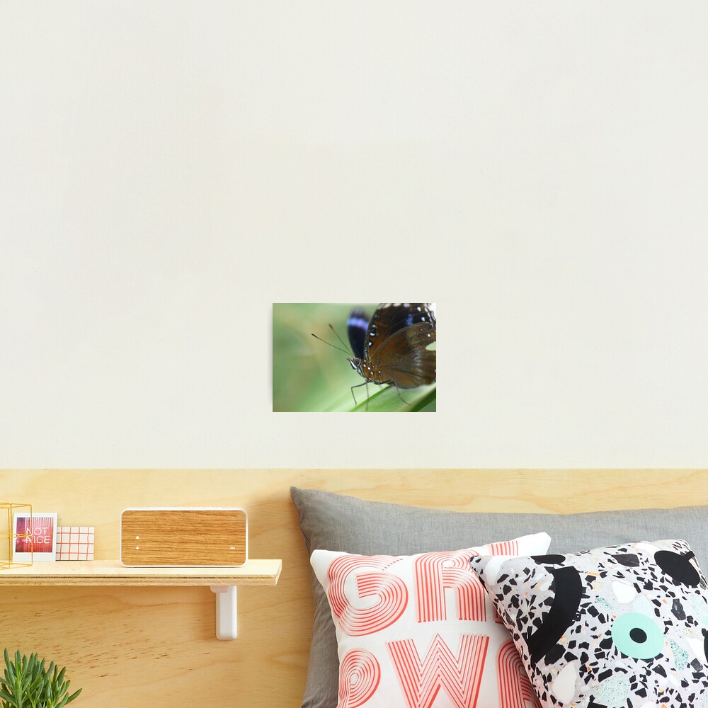 Item preview, Photographic Print designed and sold by RobsVisions.