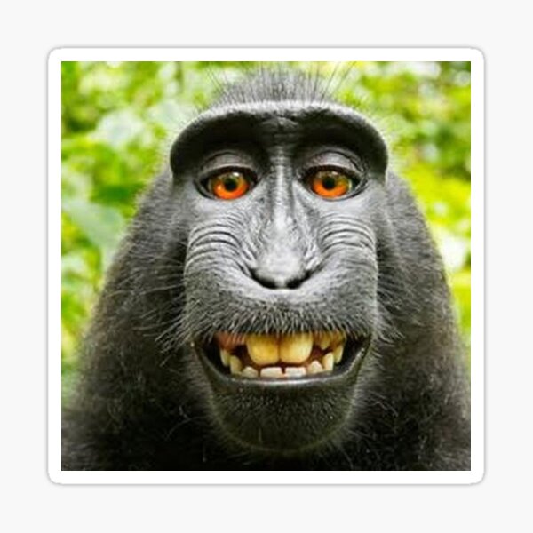 Don't Worry..Be Happy Sticker