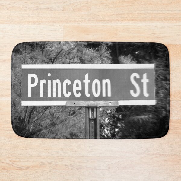 Item preview, A Street Sign Named Princeton designed and sold by jcwest.