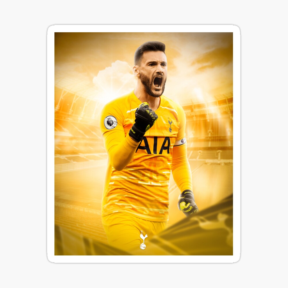 Poster Wallpaper Lloris Art De Elondenian Redbubble