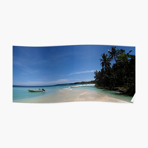 River mouth at Waterfall Bay Poster