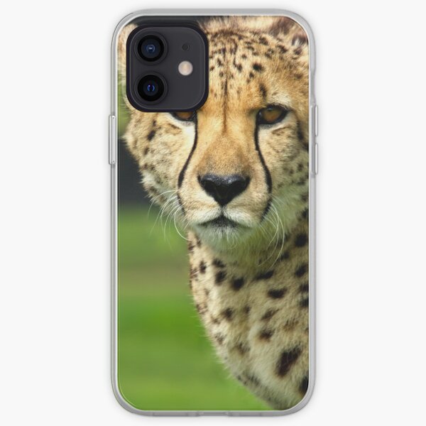 Cheetah - Face to Face - 38,585 Views iPhone Soft Case