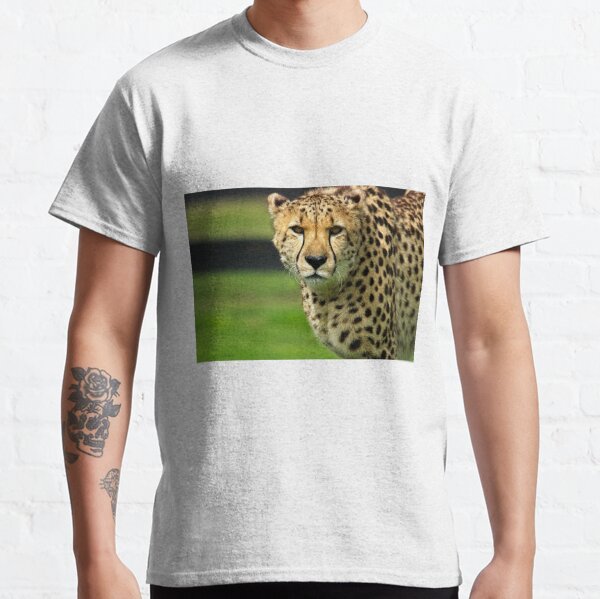 Cheetah - Face to Face - 38,585 Views Classic T-Shirt