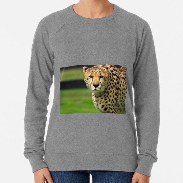 Cheetah - Face to Face - 38,585 Views Lightweight Sweatshirt